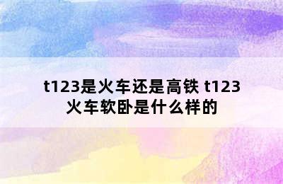 t123是火车还是高铁 t123火车软卧是什么样的